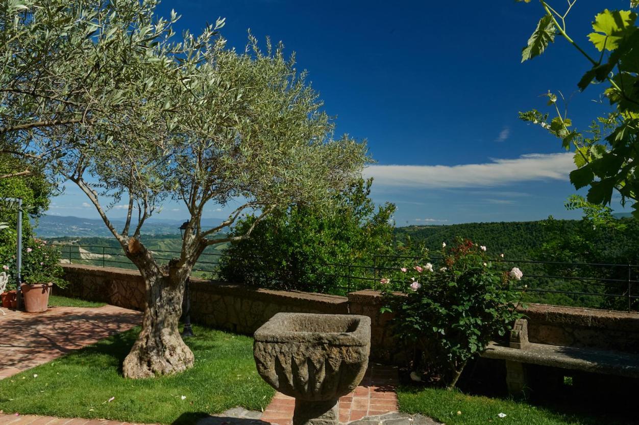 Palazzo Storico Colesanti Apartment Bagnoregio